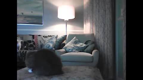 ronvlv online show from October 11, 2:38 am