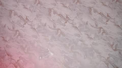 Lyla OF roselinedior online show from September 14, 5:47 pm