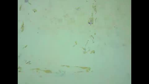 rosie6601 online show from March 21, 8:19 am