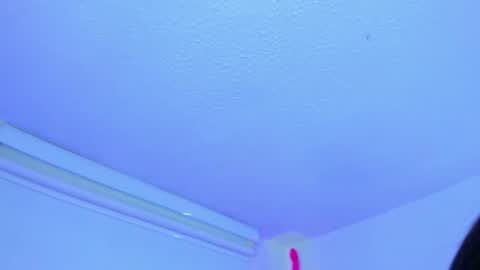   online show from November 18, 12:08 pm