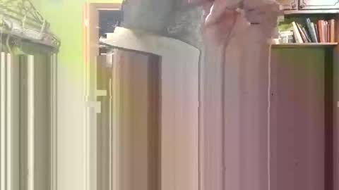 rotorranch online show from November 21, 6:55 am