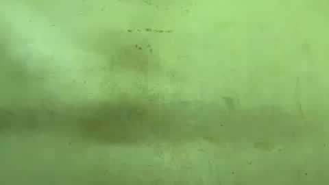 Rupali online show from March 22, 4:44 pm