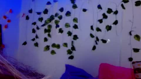 SABRI online show from February 6, 9:57 am