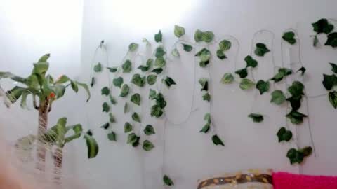 SABRI online show from September 25, 5:14 am