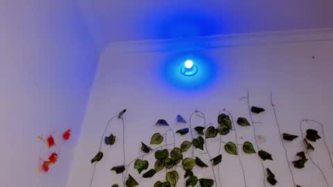 SABRI online show from April 7, 4:53 pm