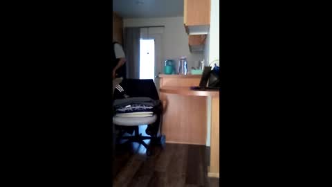 salis1981 online show from April 18, 7:18 pm