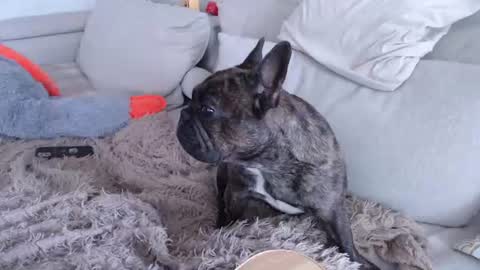 sam_skywalker online show from July 20, 10:39 am