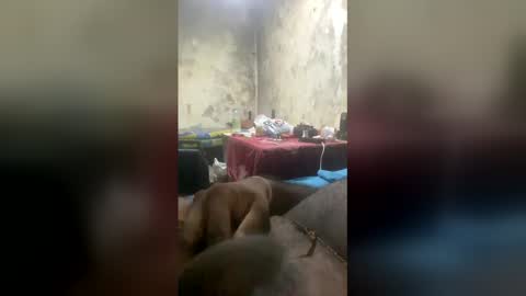 samithmayuranga1 online show from January 12, 9:00 pm