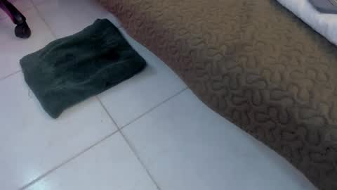 Sophie y Mark online show from February 16, 8:07 pm