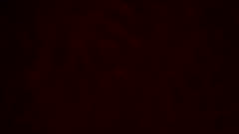 samueltal online show from February 10, 12:35 am