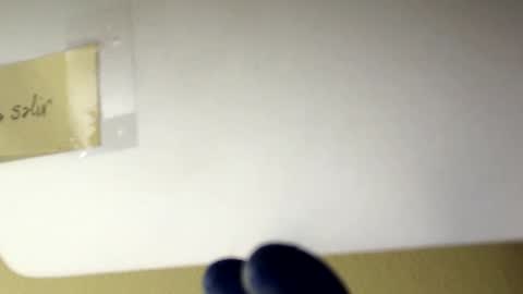 sanbig69 online show from December 6, 5:17 pm