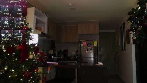 Sara online show from November 30, 1:45 am