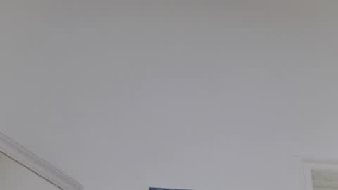 Sasha online show from March 31, 11:10 am