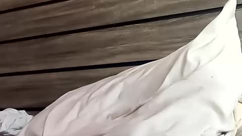 SnowBunny online show from January 24, 6:46 pm