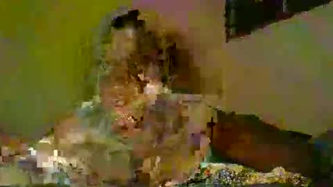 savagetonguee online show from December 5, 8:06 pm