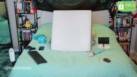 Bea online show from November 15, 7:15 pm