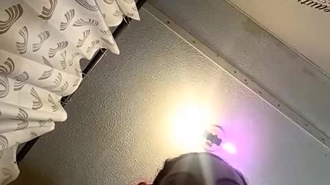 scarlettgreen94 online show from June 5, 1:56 am
