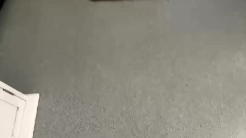 scottyc48 online show from November 8, 10:07 am