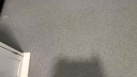 scottyc48 online show from November 12, 2:30 pm