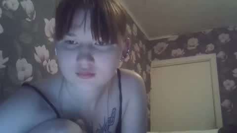 scylla5 online show from April 3, 8:38 pm