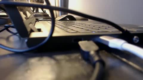 sdodgerxx online show from February 6, 8:45 pm