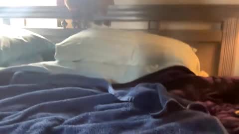 Skylar87 online show from December 15, 6:26 pm