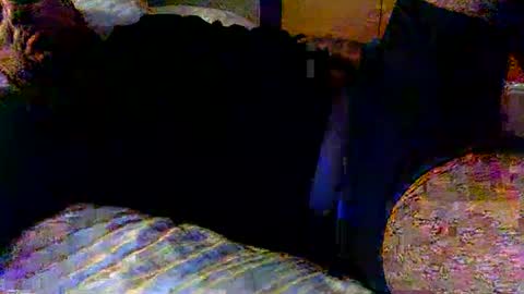 Snapshot of seanfritz1984 chatting on February 19, 12:00 pm dick online show from February 19, 12:00 pm