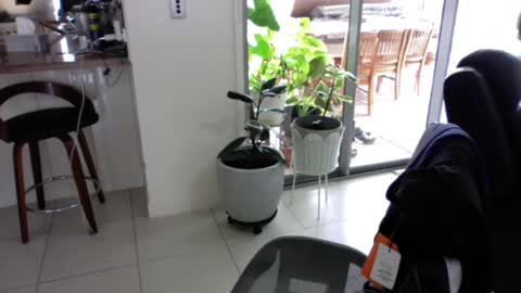 sebastianalll online show from December 30, 12:22 am