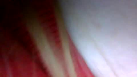 Sunny online show from April 7, 6:04 am