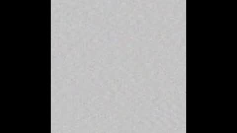 secretsirvices online show from October 14, 2:47 am