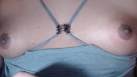 Selda online show from February 1, 3:36 am