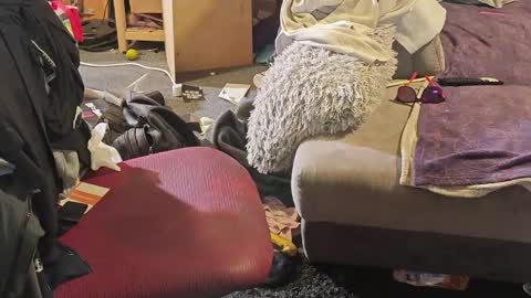 BiG DicK online show from April 8, 7:11 am