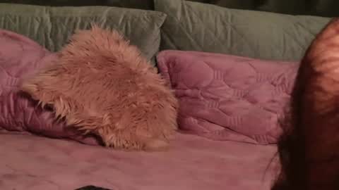 Alya online show from February 1, 3:03 am