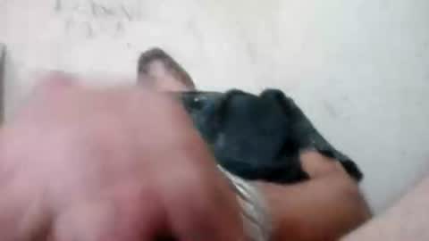 sex_lockoxxx online show from May 20, 1:02 am