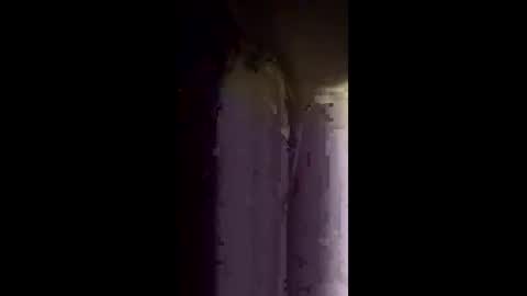 alice online show from December 19, 12:55 pm