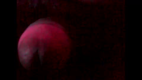 sexboypeni online show from March 2, 4:07 am