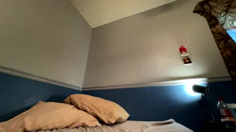 shankzilla online show from November 14, 10:33 pm