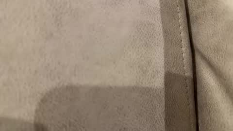 Bill online show from November 15, 5:42 am