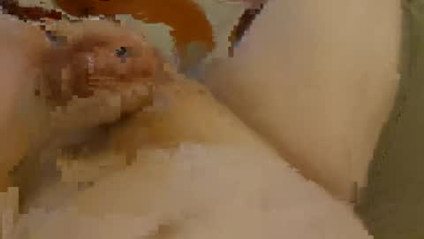 shedor85 online show from April 2, 6:48 pm