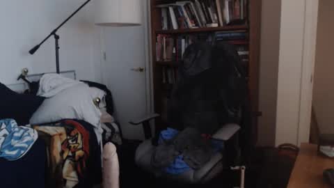 sheepishlion online show from April 19, 7:42 am