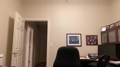 Chicago Guy online show from February 16, 4:31 am