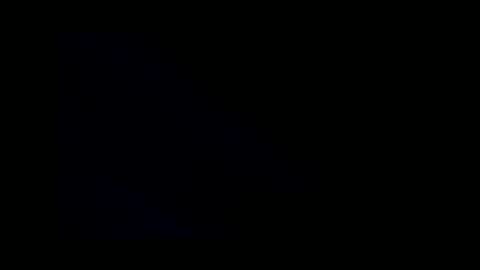 shrewtamer online show from March 11, 1:56 pm