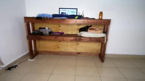 shunet online show from April 13, 10:30 am