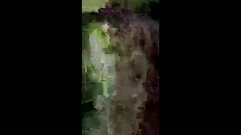 shylomm88 online show from May 17, 12:09 am