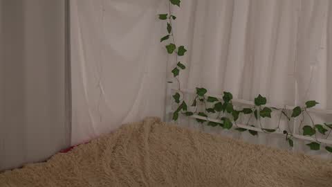 Snapshot of silent_chill chatting on January 6, 1:41 pm Chilli online show from January 6, 1:41 pm