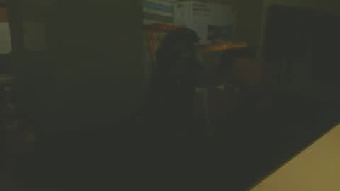 silvin76 online show from January 6, 5:08 am