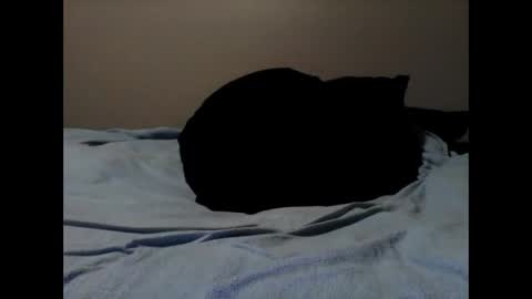 skeeter4fun73 online show from October 30, 9:37 pm