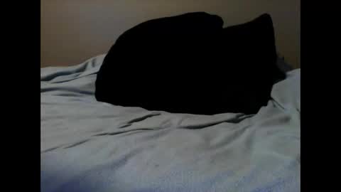 skeeter4fun73 online show from November 7, 10:23 pm