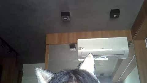 skinnykittencam online show from January 17, 12:14 pm