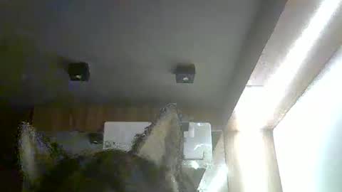 skinnykittencam online show from February 15, 2:36 am